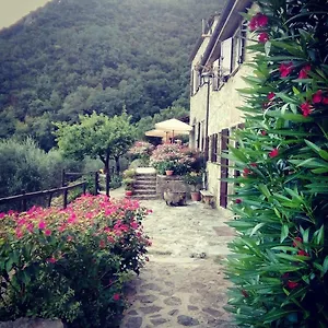 Castagnola 64 , Ne Italië